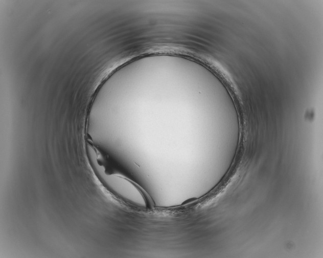 X0000090761041200708172044