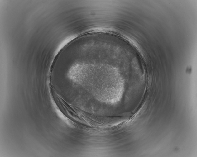 X0000090761042200708172044