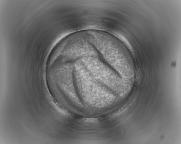 X0000090761043200708172044