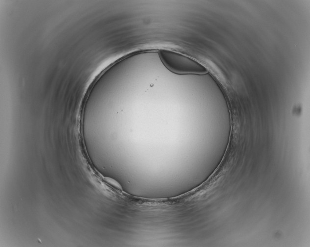 X0000090761044200708172044