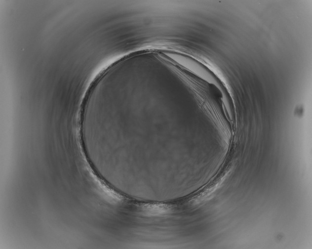 X0000090761045200708172044