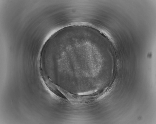 X0000090761046200708172044