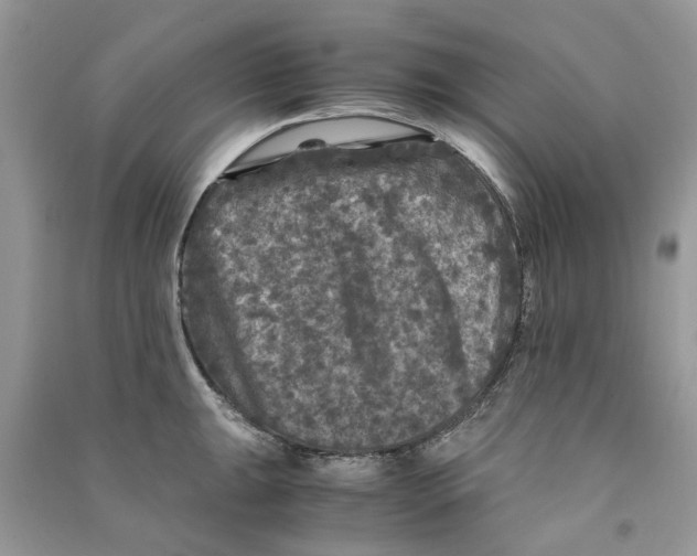 X0000090761047200708172044