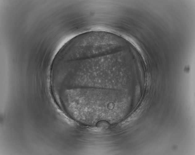 X0000090761048200708172044