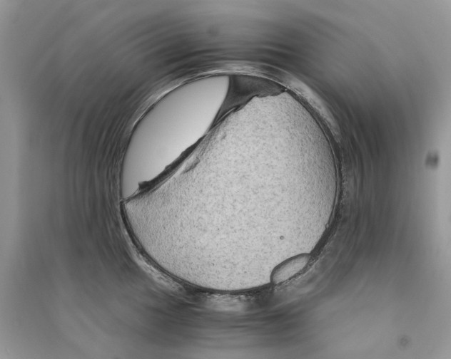 X0000090761049200708172044