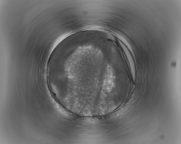 X0000090761050200708172044