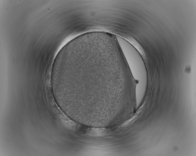 X0000090761052200708172044