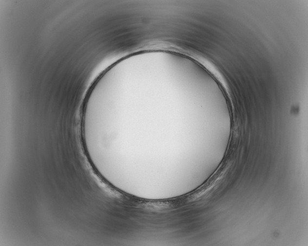 X0000090761053200708172044