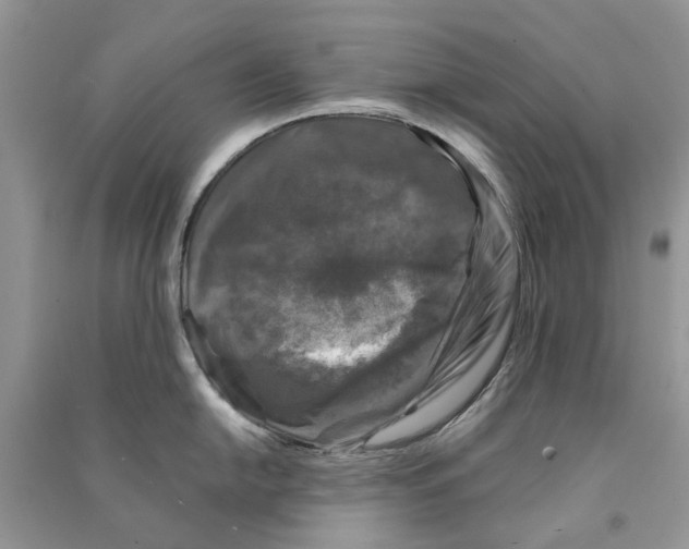 X0000090761054200708172044