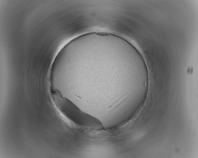 X0000090761056200708172044