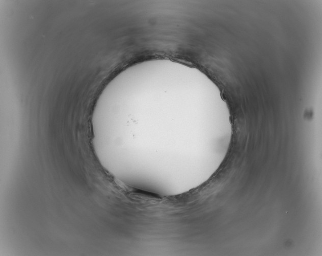 X0000090761057200708172043