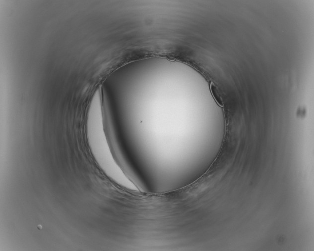 X0000090761058200708172043