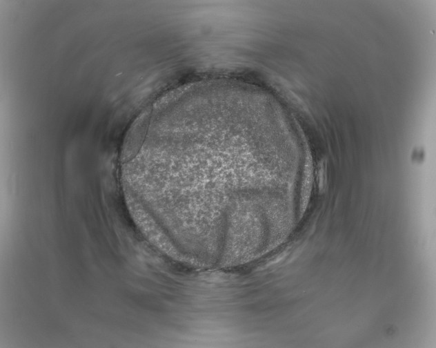 X0000090761059200708172043