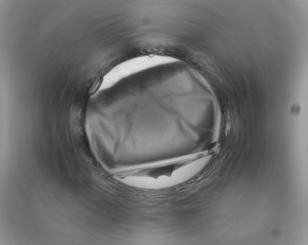 X0000090761060200708172043