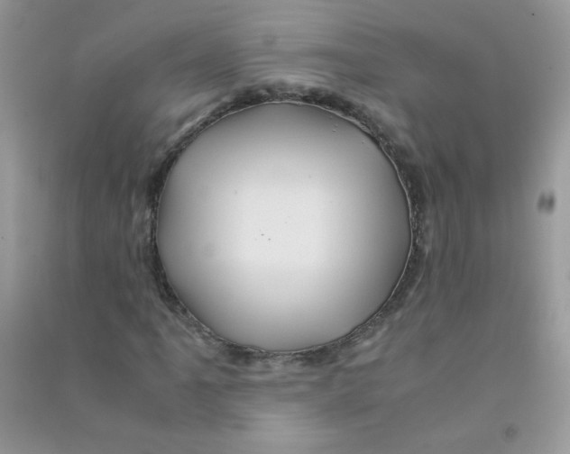 X0000090761061200708172043