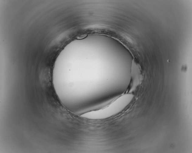 X0000090761062200708172043