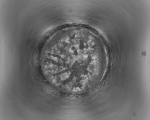 X0000090761063200708172043