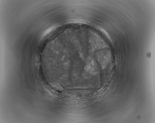 X0000090761064200708172043