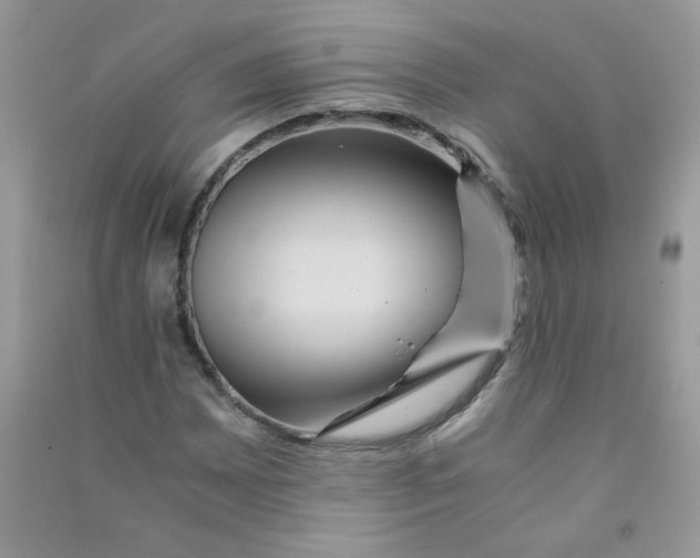 X0000090761065200708172043