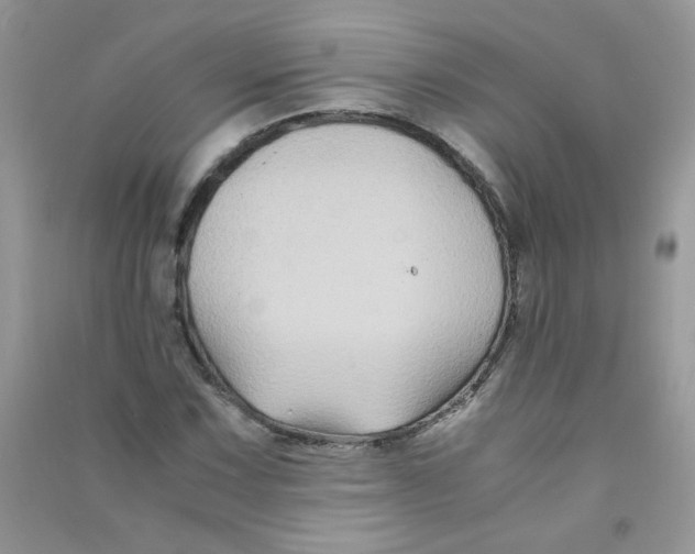 X0000090761067200708172043