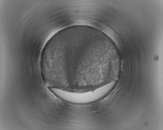 X0000090761068200708172043