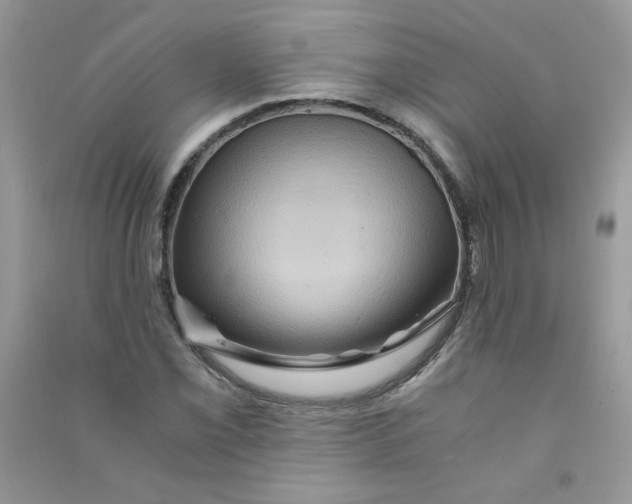 X0000090761069200708172043