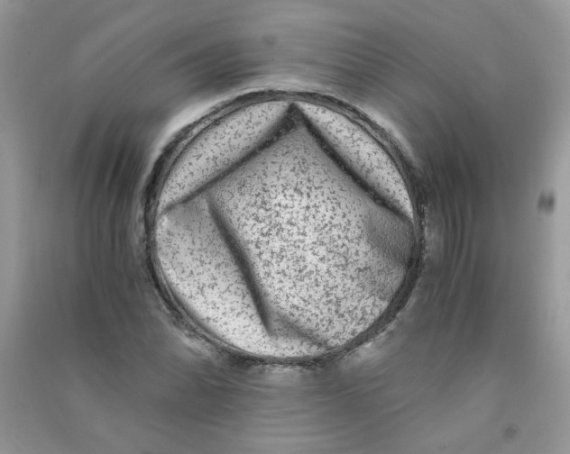 X0000090761070200708172043