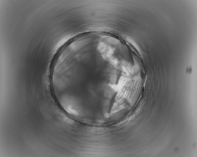 X0000090761071200708172043