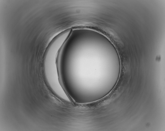 X0000090761073200708172043