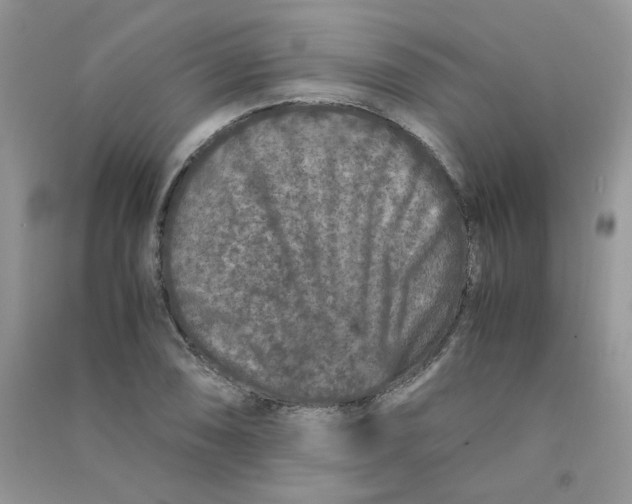 X0000090761074200708172043