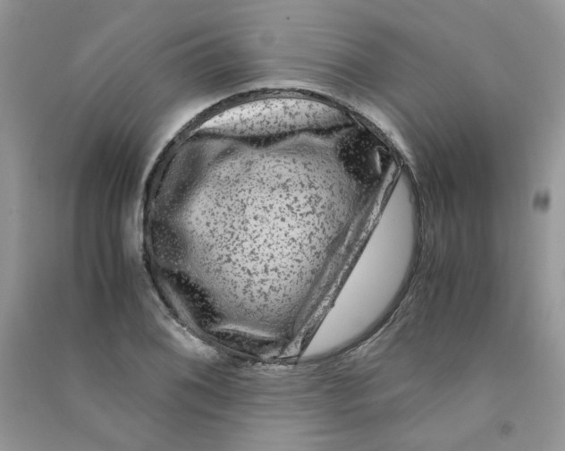 X0000090761076200708172043