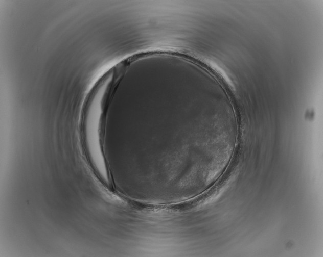 X0000090761077200708172043