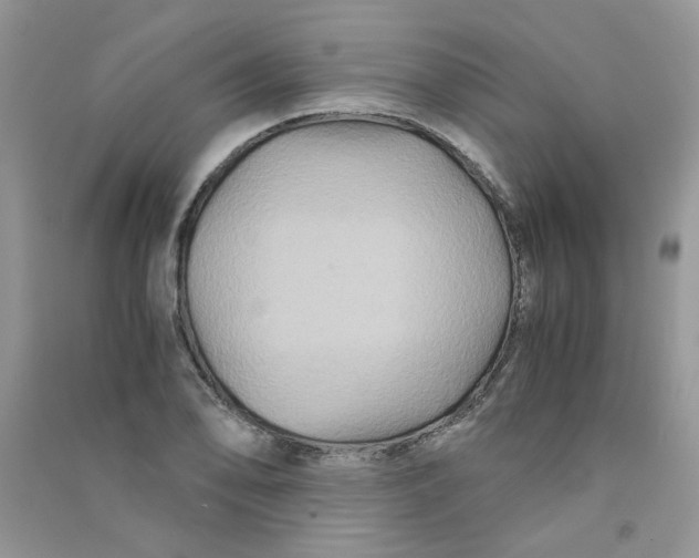 X0000090761078200708172043