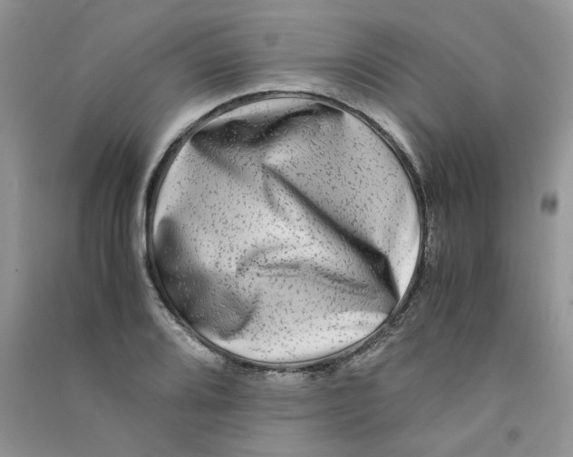 X0000090761080200708172043