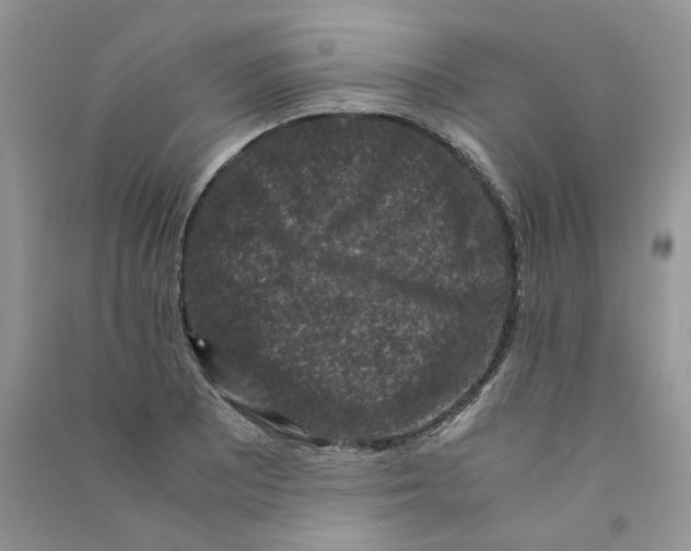 X0000090761081200708172043