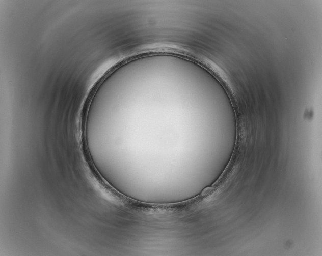 X0000090761082200708172043