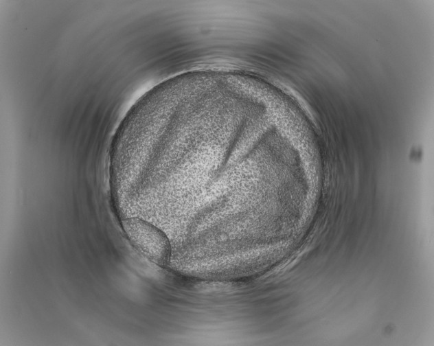 X0000090761083200708172043