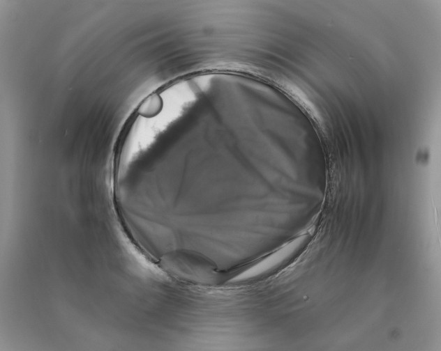 X0000090761084200708172043