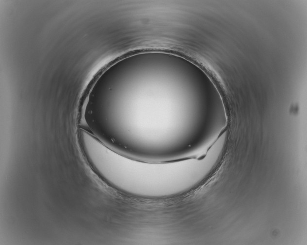 X0000090761085200708172043