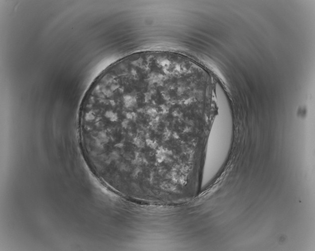 X0000090761087200708172043