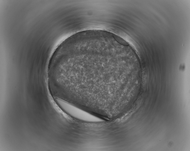 X0000090761088200708172043