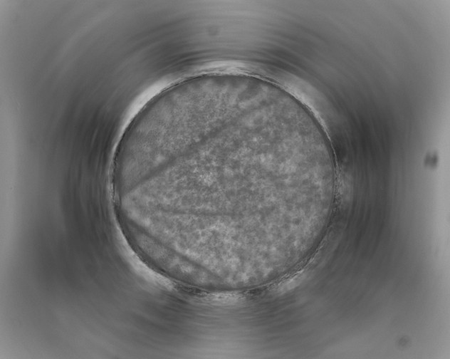 X0000090761090200708172043