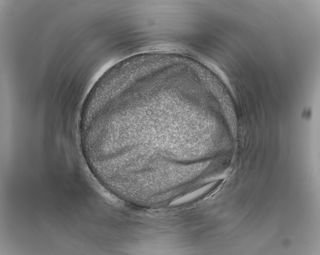 X0000090761091200708172043