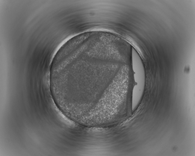 X0000090761092200708172043