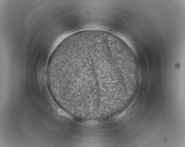 X0000090761094200708172043