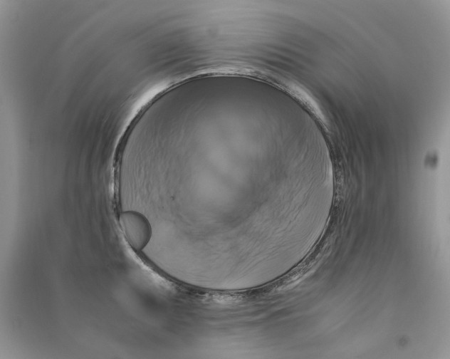 X0000090761095200708172043