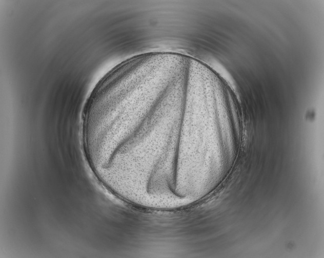 X0000090761096200708172043