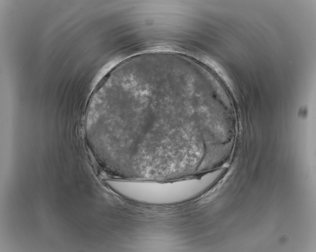 X0000090761097200708172043