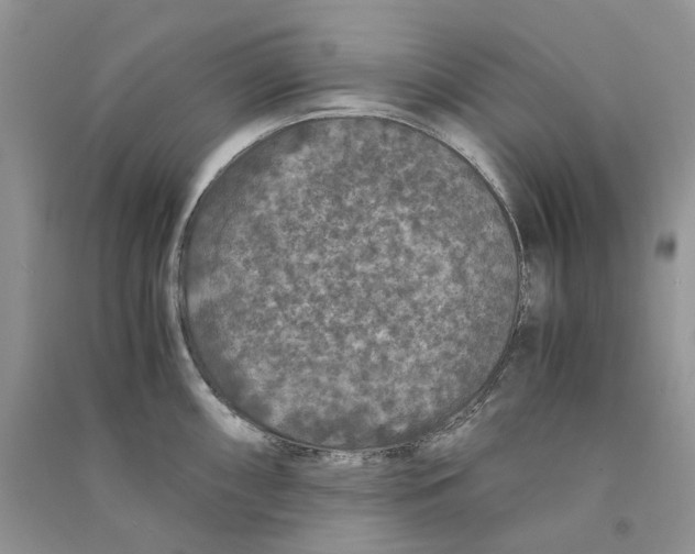 X0000090761098200708172043