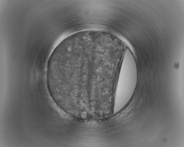 X0000090761099200708172043